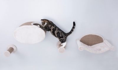 Image showing  Wall-Mounted Cat Lounge Set, Hammock, Scratching Post and Condo with 2 Steps, Brown