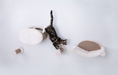 Image showing  Wall-Mounted Cat Lounge Set, Hammock, Scratching Post and Condo with 2 Steps, Brown