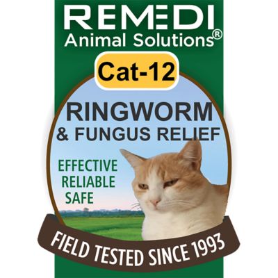 Cat ringworm treatment 2024 over the counter