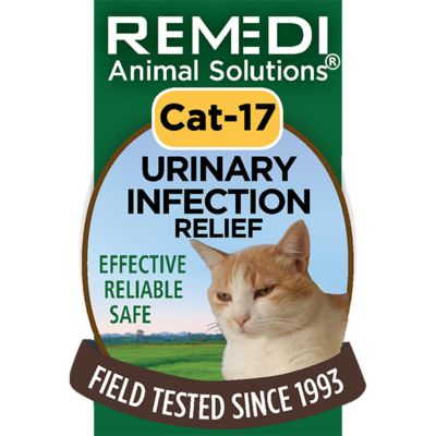 safe home remedies for cat uti