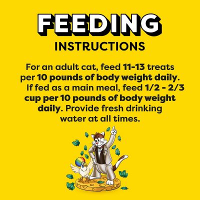 Image showing 8 th Temptations MixUps Catnip Fever Flavor Crunchy and Soft Cat Treats, 16 oz.