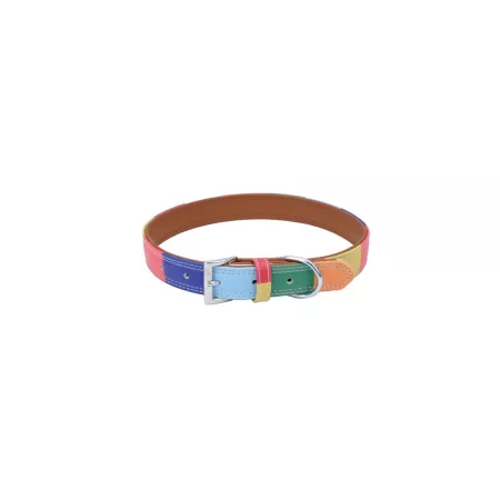 Rainbow Retriever Leather Dog Collar 22 in. Dog Basic Collars