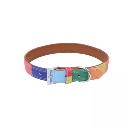 Rainbow Retriever Leather Dog Collar 18 in. Dog Basic Collars