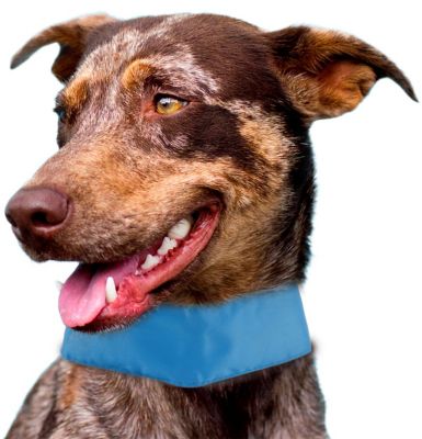 Pet Life Cooling Dog Neck Wrap