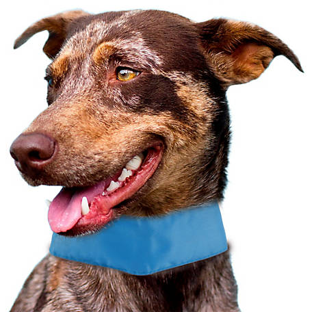 Pet Life Cooling Dog Neck Wrap