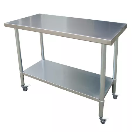 Sportsman Series Stainless Steel Rolling Work Table 24-in x 48-in Work Benches