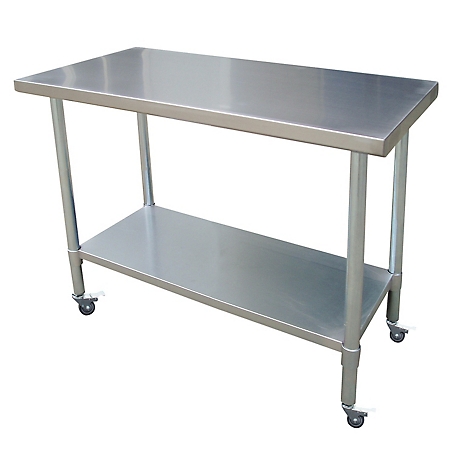 Sportsman Series 24 in. x 48 in. Stainless Rolling Work Table