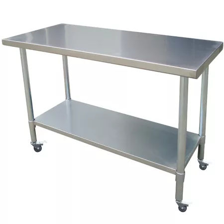 Sportsman Series Stainless Steel Rolling Work Table 24-in x 60-in Work Benches