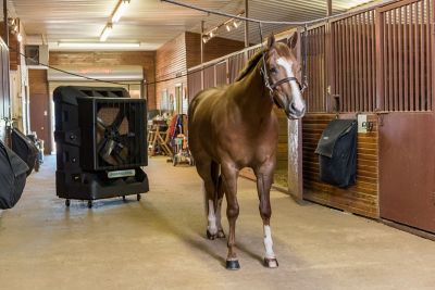 Image showing  Cyclone 160 Motor