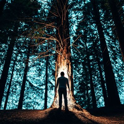 Image showing 6 th Panther Vision Powercap 4 LED 35/55 Ultra-Bright Hands-Free Lighted Beanie