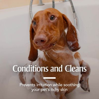 Image showing 7 th PetArmor Plus Oatmeal Dog Shamp 18 oz.