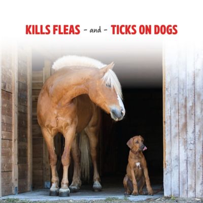 Image showing  Pro-Force Fly Spray for Horses and Dogs, 1 gal.