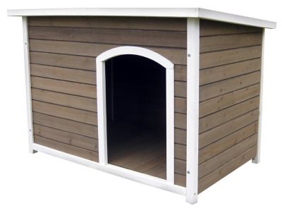 medium dog house