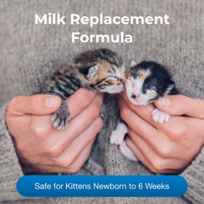 Image showing  PetLac Kitten Milk Replacement Liquid, 32 oz.