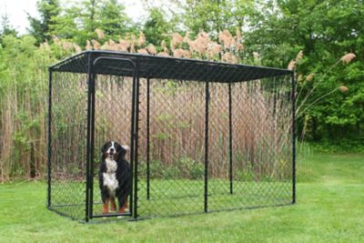KennelMaster 6 ft. x 5 ft. x 10 ft. Black Powder-Coated Kennel Chain Link Dog Kennel