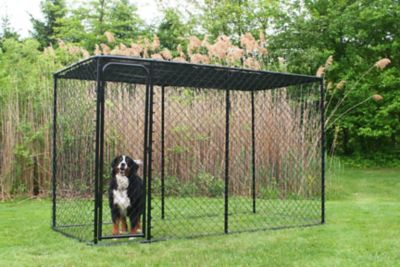 KennelMaster 6 ft. x 5 ft. x 10 ft. Powder-Coat Chain Link Dog Kennel, Black