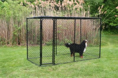 Image showing  6 ft. x 5 ft. x 10 ft. Powder-Coat Chain Link Dog Kennel, Black