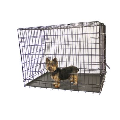 KennelMaster 2-Door Steel Folding Pet Kennel Pet Crate, 24 in. Nice big kennel for a cat or a small dog
