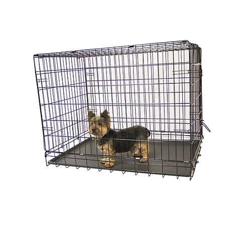 KennelMaster 2-Door Steel Folding Pet Kennel Pet Crate, 24 in.