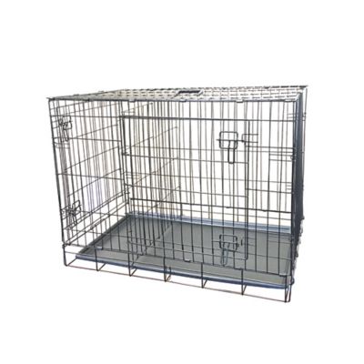 KennelMaster 2-Door Steel Folding Pet Kennel Pet Crate, 36 in. 2 door crate