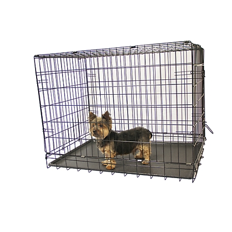 Folding Dog Crate Large - Brown - Duluth Trading Company