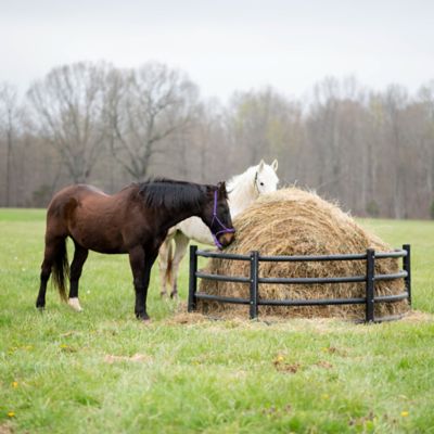 Image showing  2,000 lb. Horse Hay Feeder, 8 ft. x 2 ft. 8 in.