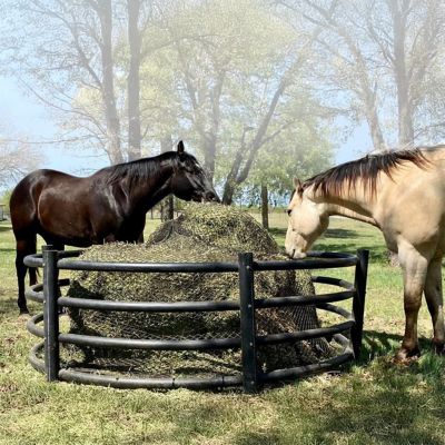 Image showing  2,000 lb. Horse Hay Feeder, 8 ft. x 2 ft. 8 in.