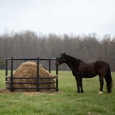 Image showing  2,000 lb. 8 ft. x 5.5 ft. Tall Horse Feeder