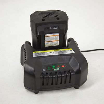 Image showing  Smart Battery Charger