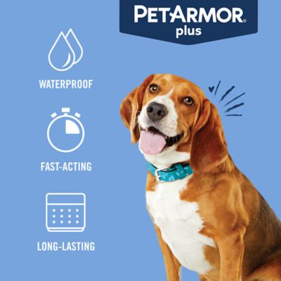 Image showing 8 th PetArmor Plus Flea and Tick Topical Treatment for Dogs 23-44 lb., 3 ct.