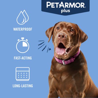 Image showing 8 th PetArmor Plus Flea and Tick Topical Treatment for Dogs 45-88 lb., 3 ct.
