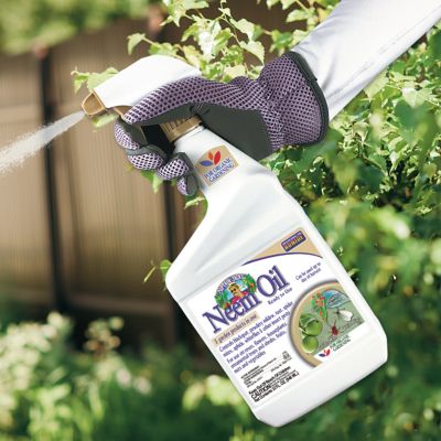 Image showing  Neem Oil Quart RTU 22
