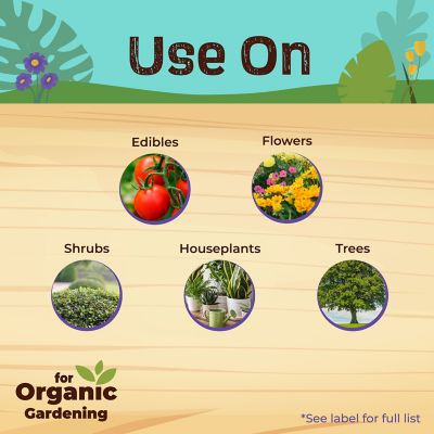 Image showing  Neem Oil Quart RTU 22