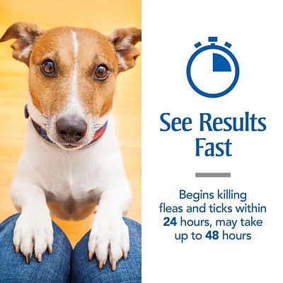 Image showing  Plus Flea and Tick Control for Dogs