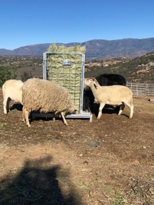 Rugged Ranch Bale Feeder Sggblf At Tractor Supply Co
