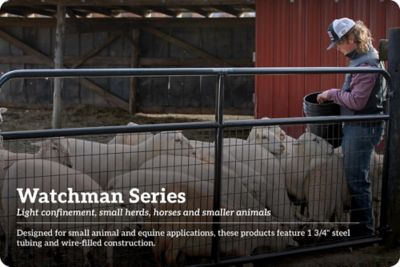 Image showing 7 th Tarter 16 ft. x 50 in. Wire Filled Gate, 2 in. x 4 in. Mesh, Green