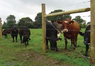 Image showing  BeFAST Fence Brace Kit Bulk, 40-Pack