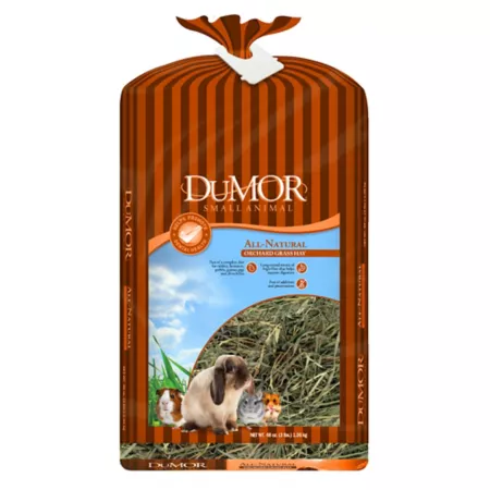 DuMOR Soft Textured Orchard Grass Hay for Small Pets 48 oz. Small Pet Hay