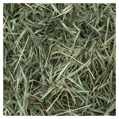 Image showing  All-Natural Orchard Grass Hay for Small Pets, 48 oz.