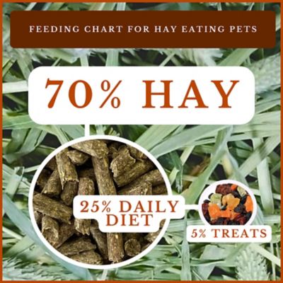 Image showing  All-Natural Orchard Grass Hay for Small Pets, 48 oz.