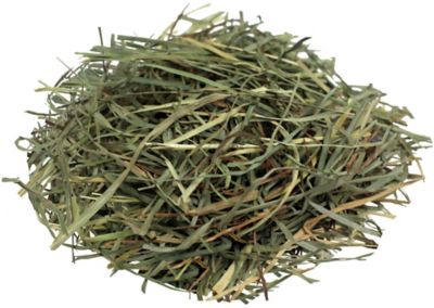 Image showing  All-Natural Orchard Grass Hay for Small Pets, 48 oz.