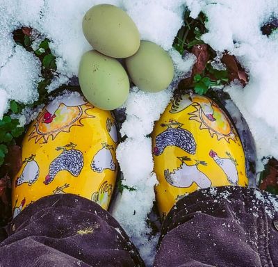 Image showing  Women's Waterproof Comfort Rain and Garden Shoes
