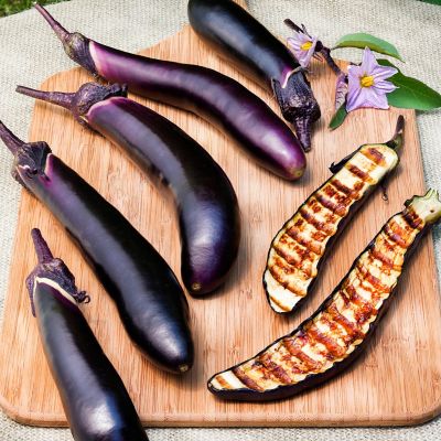 Image showing  Ichiban Type Eggplant 19.3 oz.