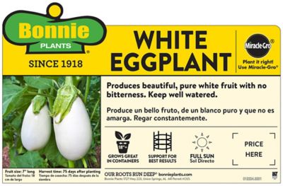Image showing  White Eggplant 19.3 oz.