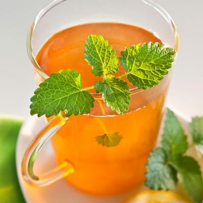 Image showing  Lemon Balm 19.3 oz.