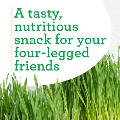 Image showing  Pet Grass, 19.3 oz.