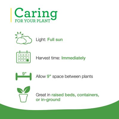 Image showing  Pet Grass, 19.3 oz.