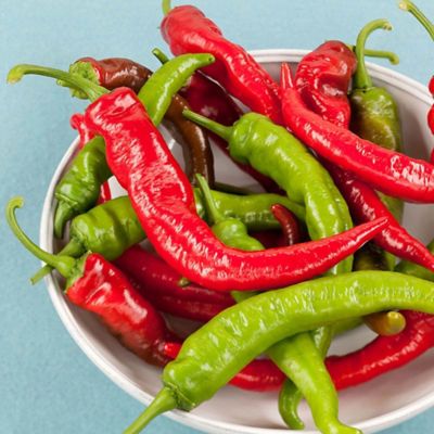 Bonnie Plants Cowhorn Pepper 19.3 oz.