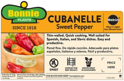 Image showing  Cubanelle Pepper, 19.3 oz.