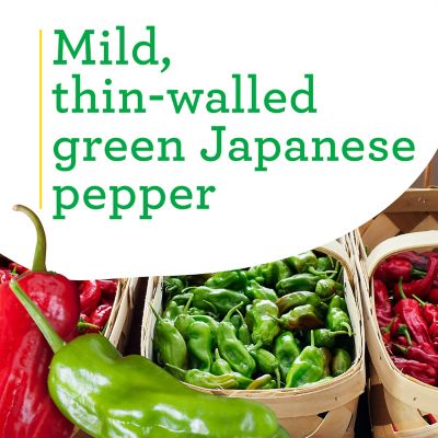 Image showing  Shishito Pepper 19.3 oz.